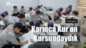 karınca-kuran-kursu